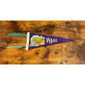 Vintage Wall S.D. pennant