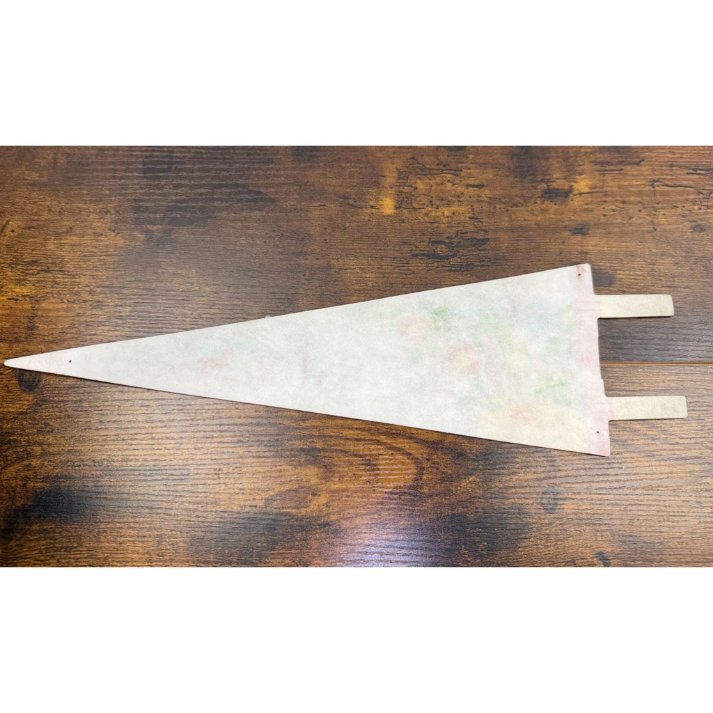 Vintage Charleston SC Felt Pennant 14 inches