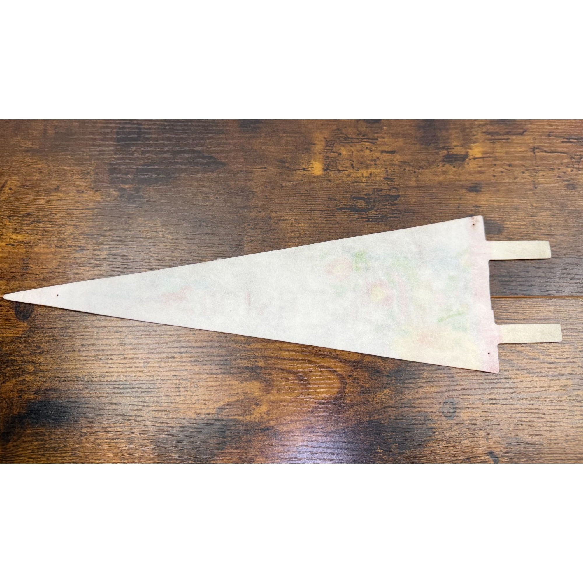 Vintage Charleston SC Felt Pennant 14 inches