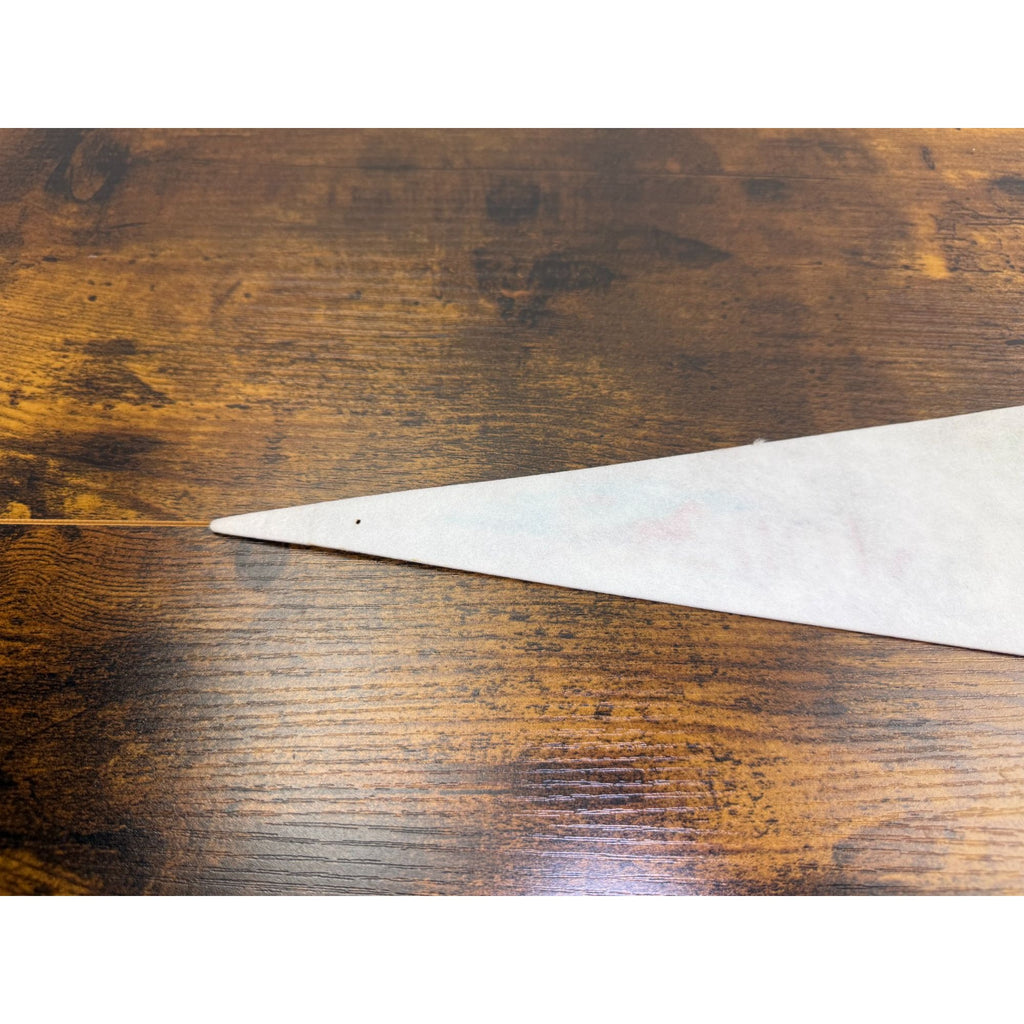Vintage Charleston SC Felt Pennant 14 inches
