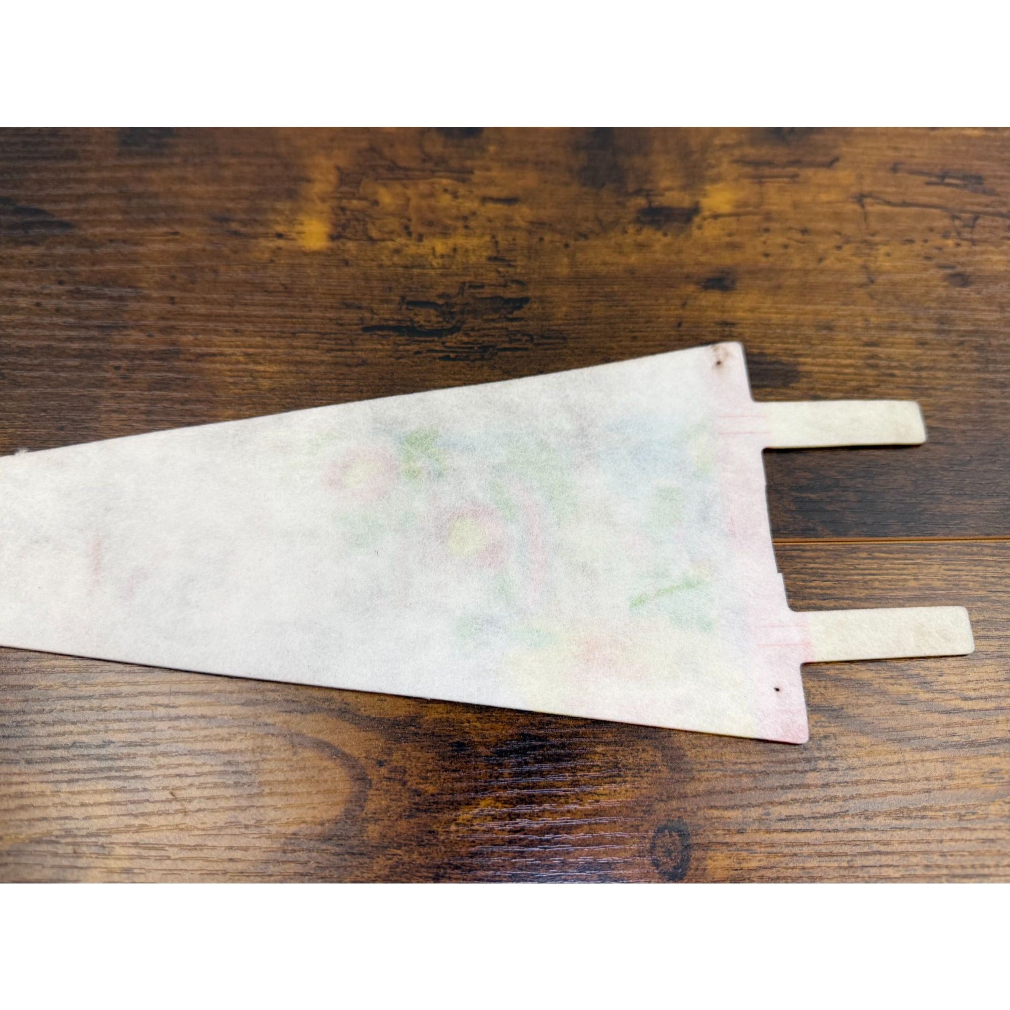 Vintage Charleston SC Felt Pennant 14 inches