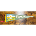 Vintage Boise, Idaho pennant