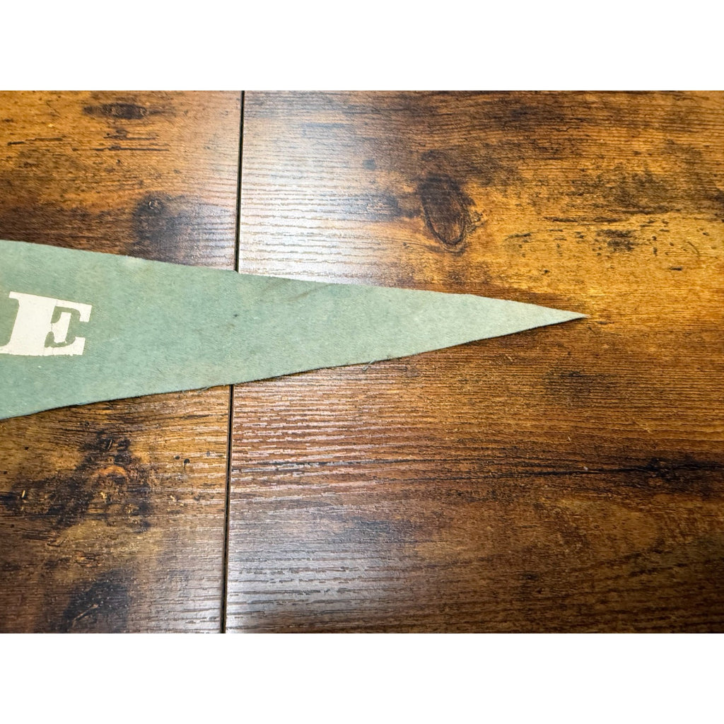 Vintage Boise, Idaho pennant
