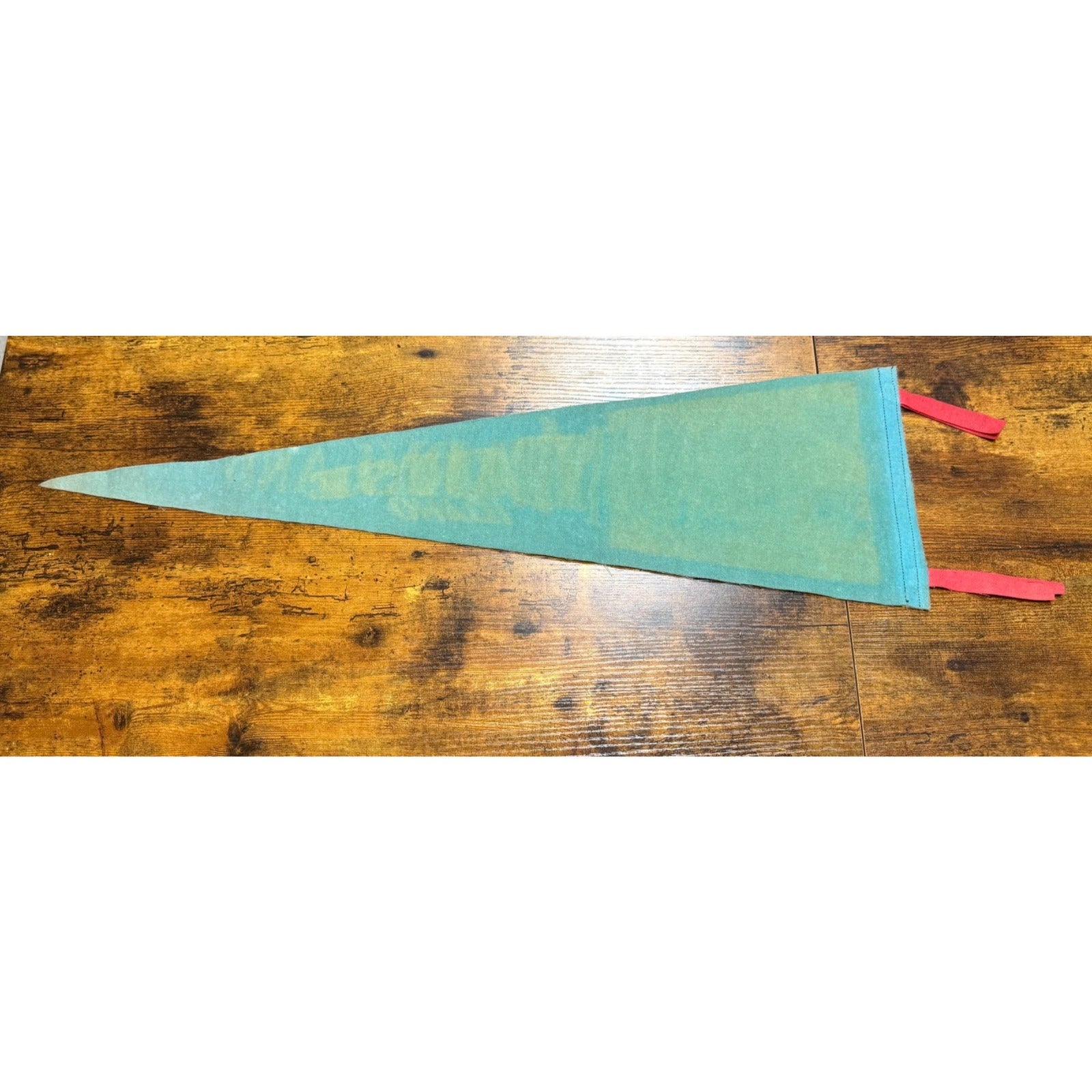 Vintage Boise, Idaho pennant