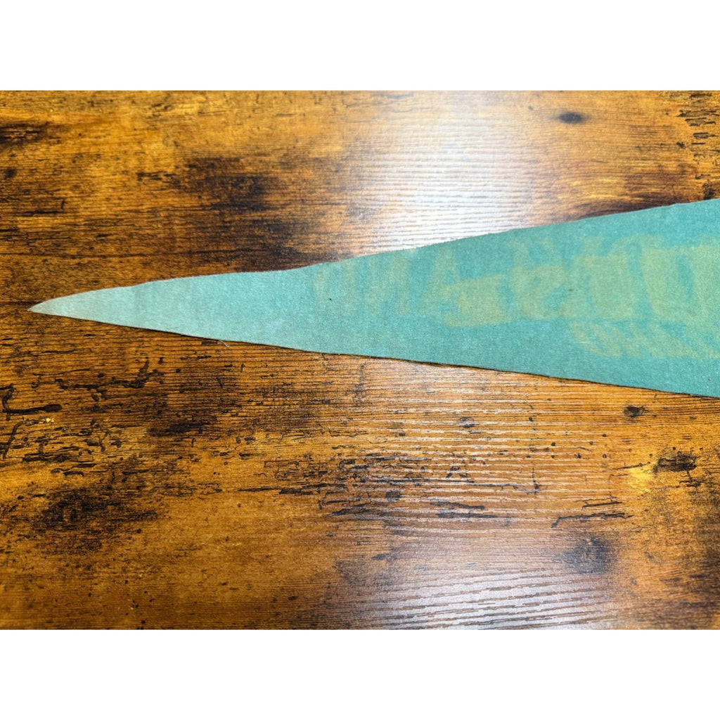 Vintage Boise, Idaho pennant