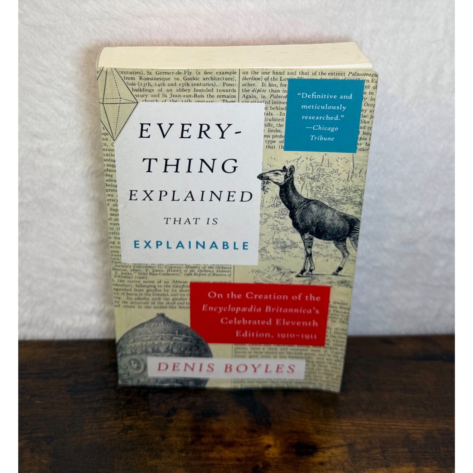 Everything Explained That Is Explainable By Denis Boyles Paperback