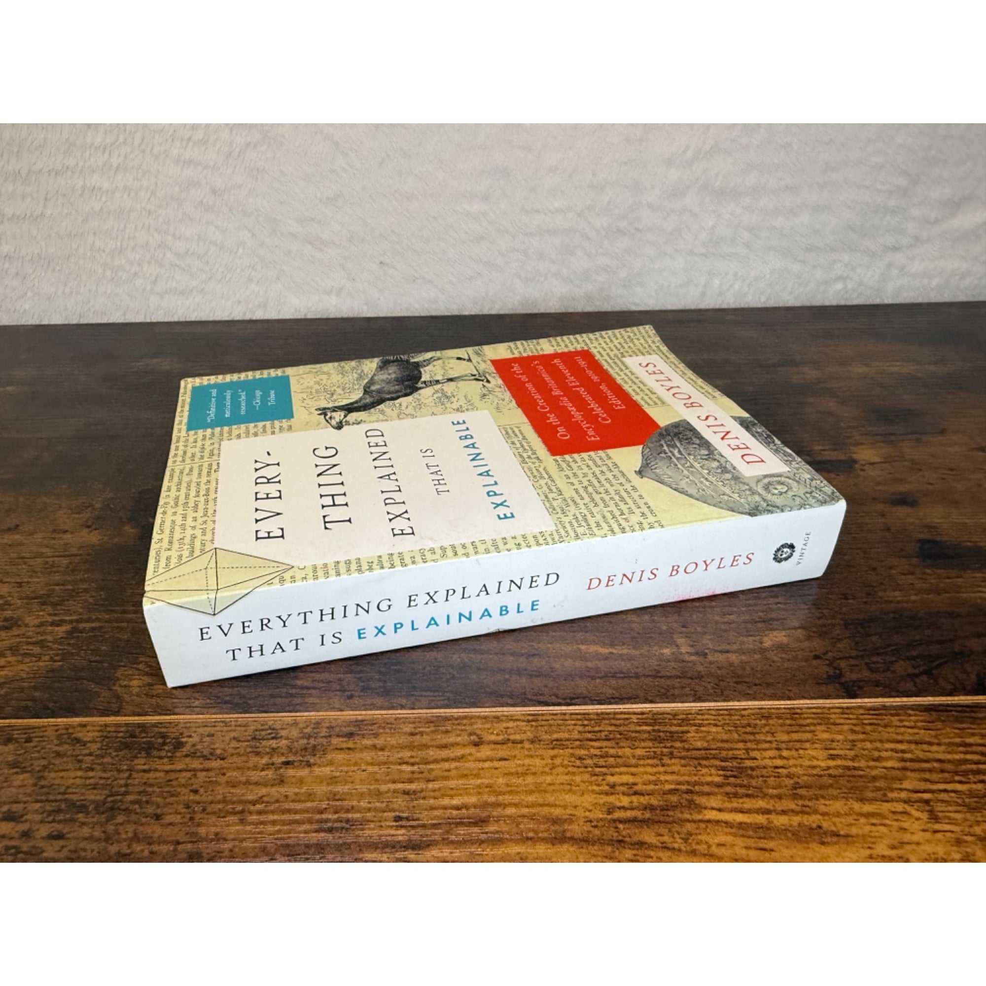 Everything Explained That Is Explainable By Denis Boyles Paperback
