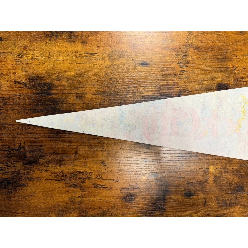 Vintage Rock City, Lookout Mountain, TN pennant