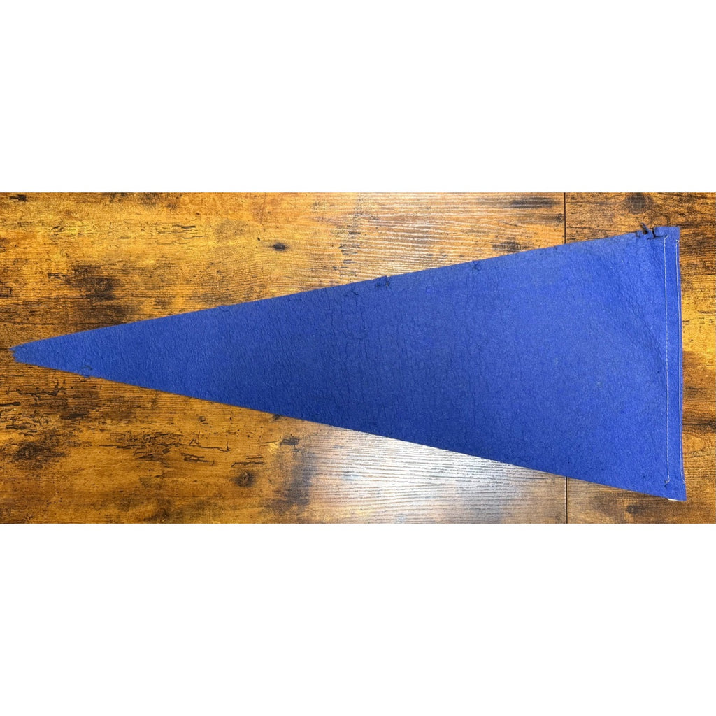 Vintage University at Buffalo pennant