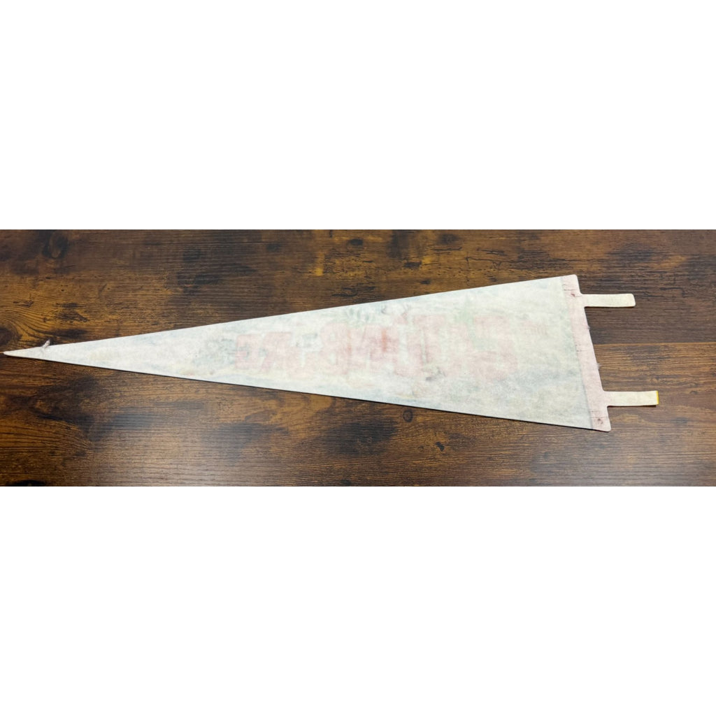 Vintage Gatlinburg Tennessee Souvenir Felt Pennant 25 inches