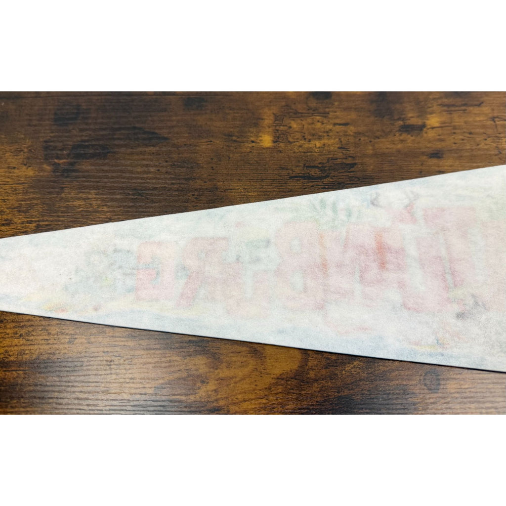Vintage Gatlinburg Tennessee Souvenir Felt Pennant 25 inches