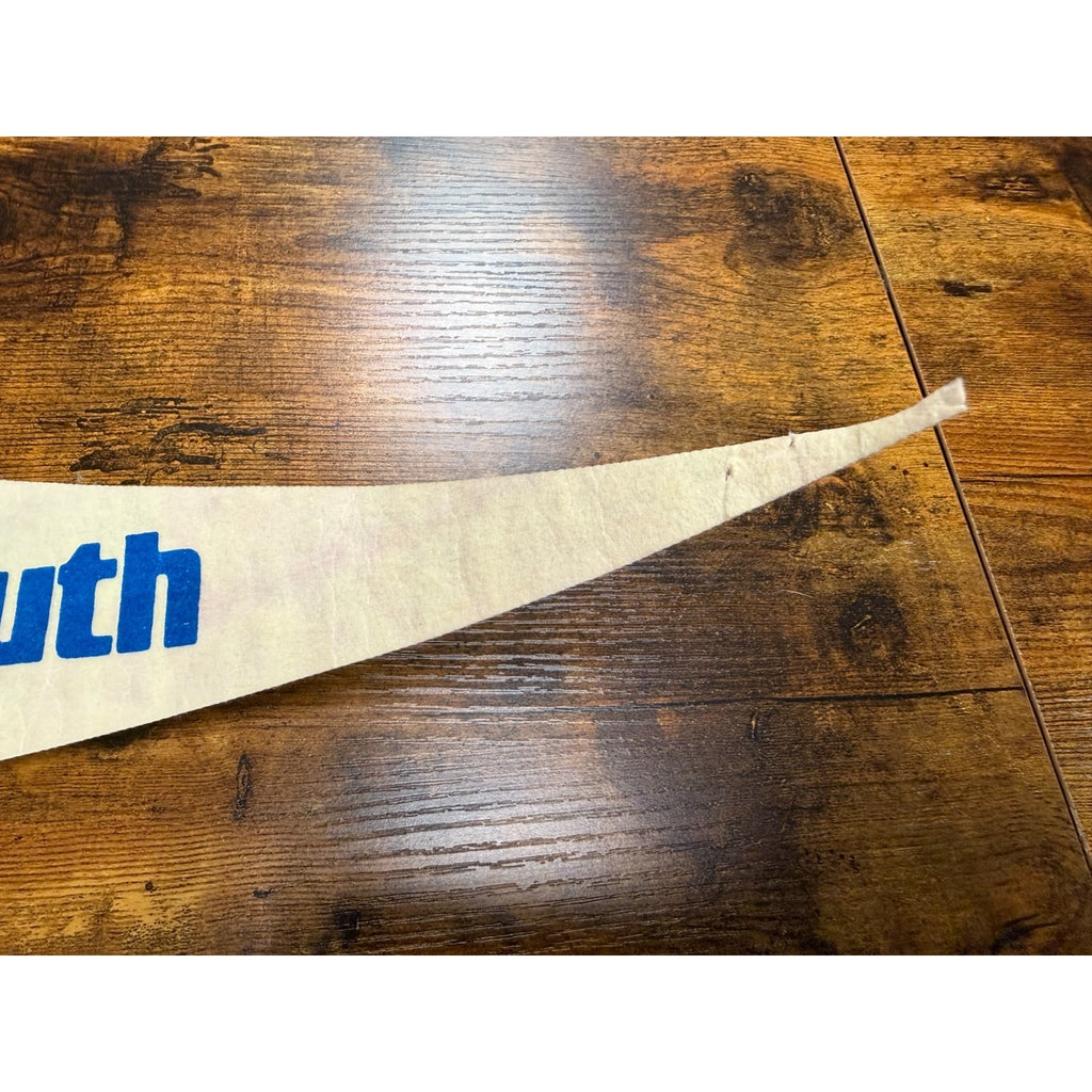 Vintage Bank South, Georgia pennant