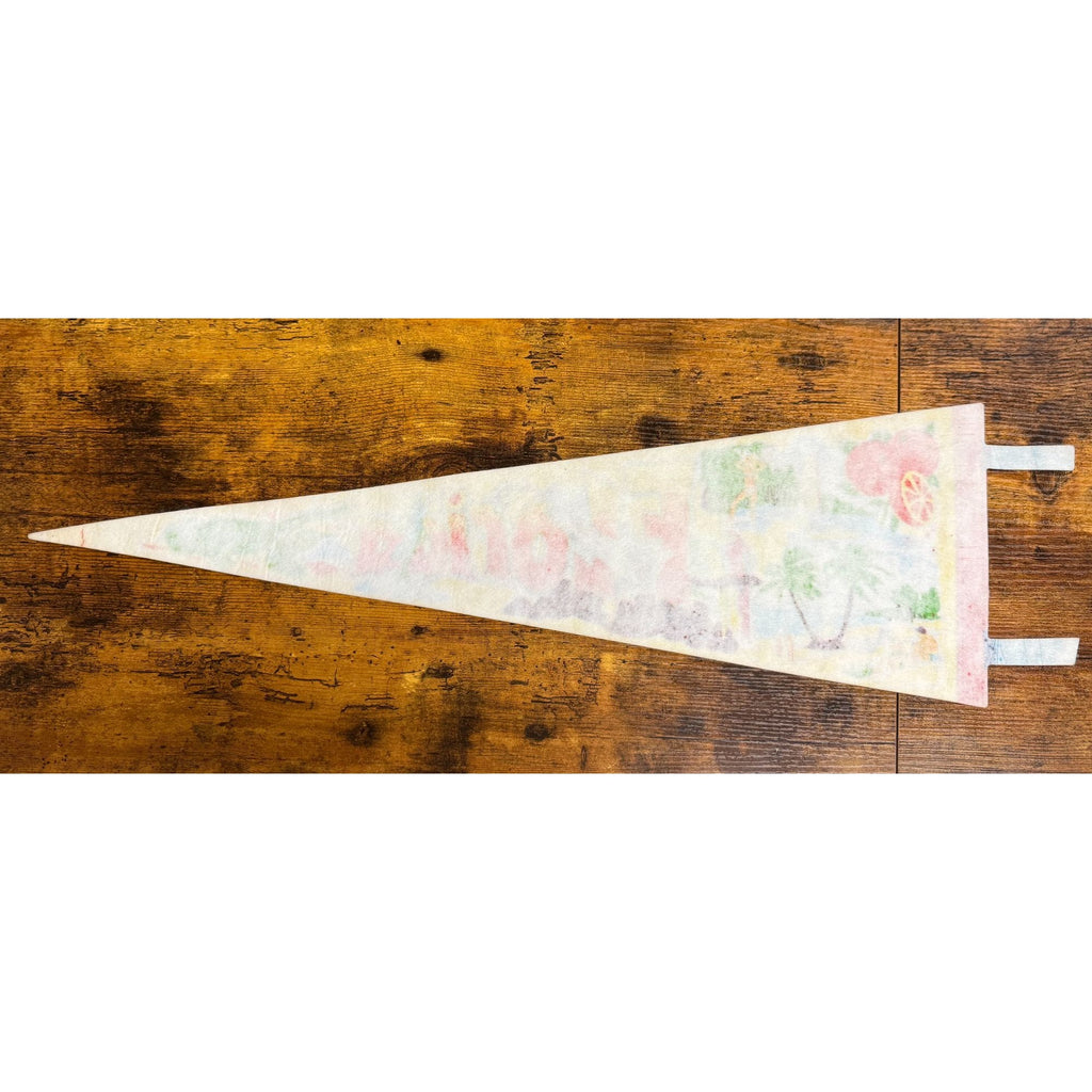Vintage Florida Souvenir Felt Pennant