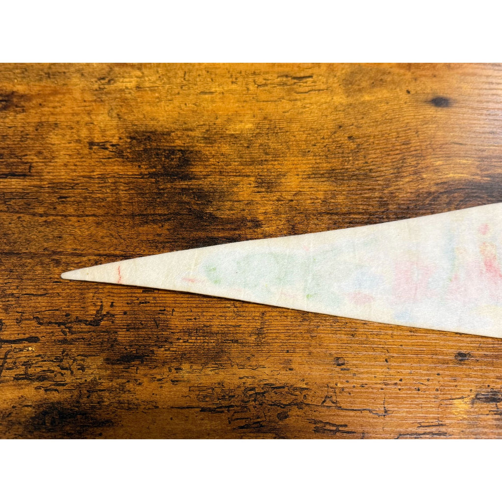 Vintage Florida Souvenir Felt Pennant
