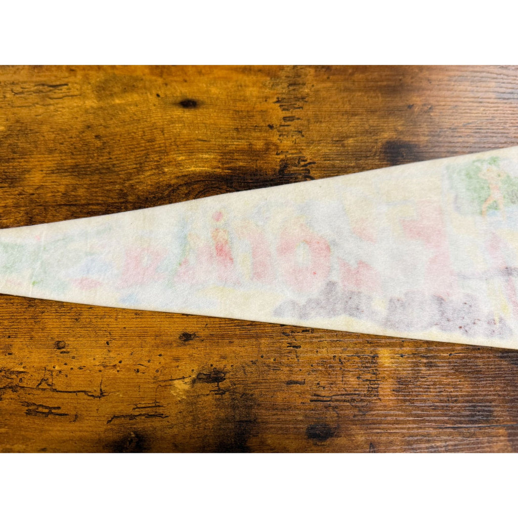 Vintage Florida Souvenir Felt Pennant