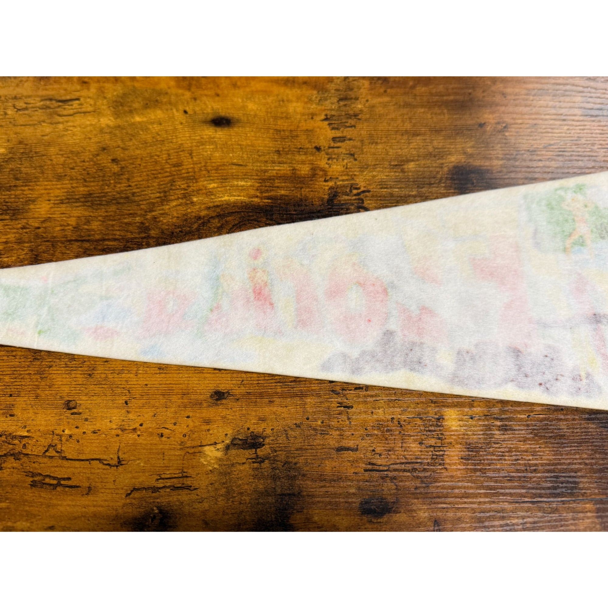 Vintage Florida Souvenir Felt Pennant