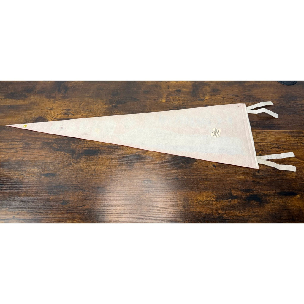 Carnival Cruise Line Vintage Souvenir Felt Pennant With Ship Graphics & Tie
