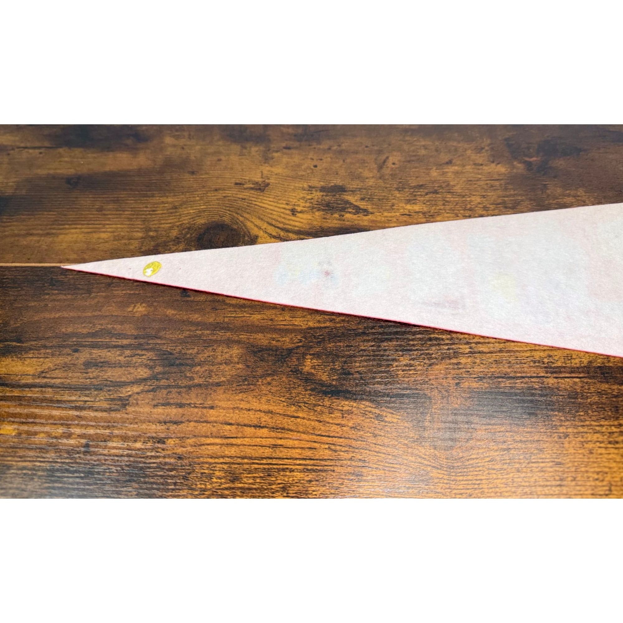 Carnival Cruise Line Vintage Souvenir Felt Pennant With Ship Graphics & Tie