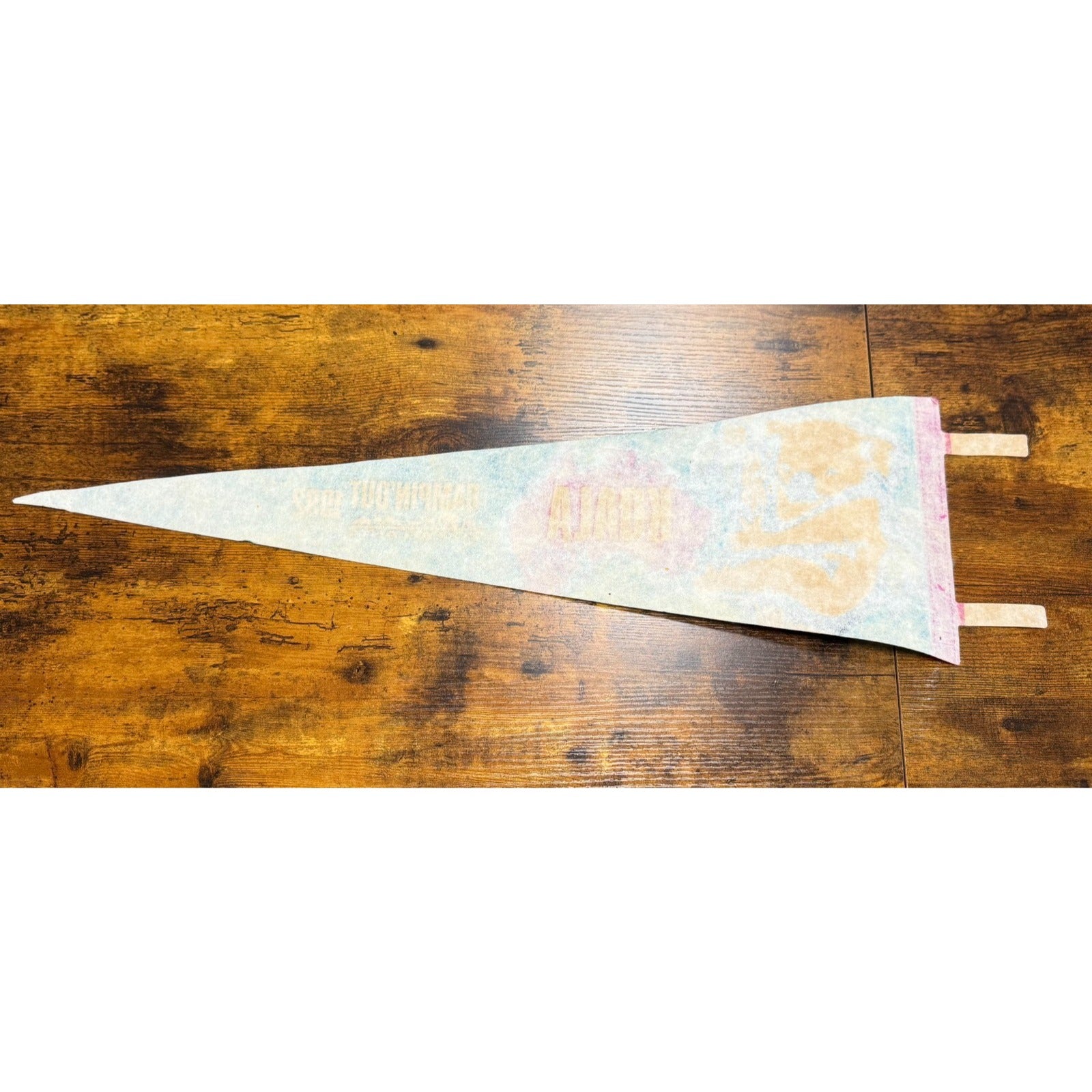 Vintage Zoo Atlanta Campin' Out 1992 pennant