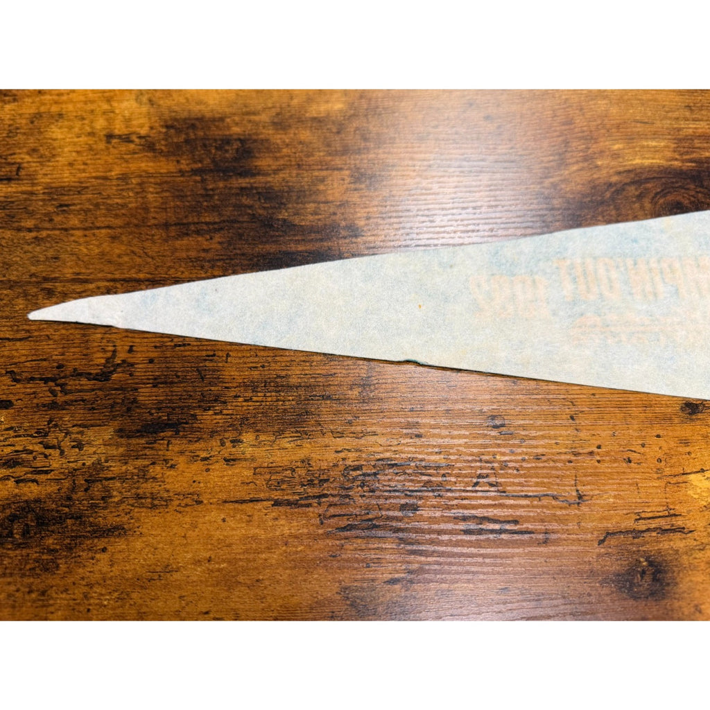 Vintage Zoo Atlanta Campin' Out 1992 pennant