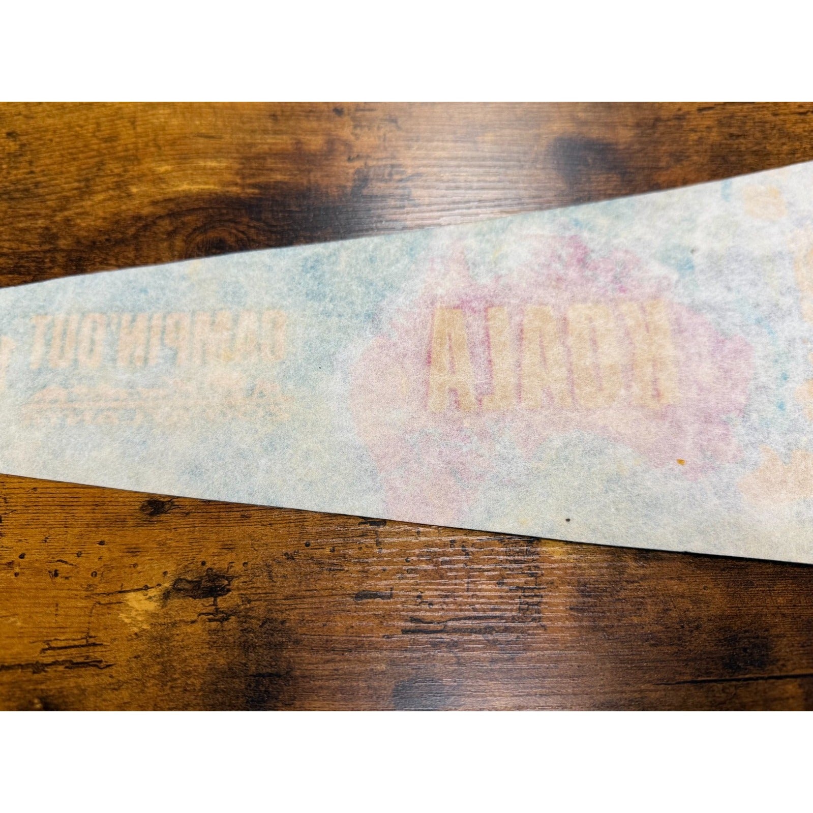 Vintage Zoo Atlanta Campin' Out 1992 pennant