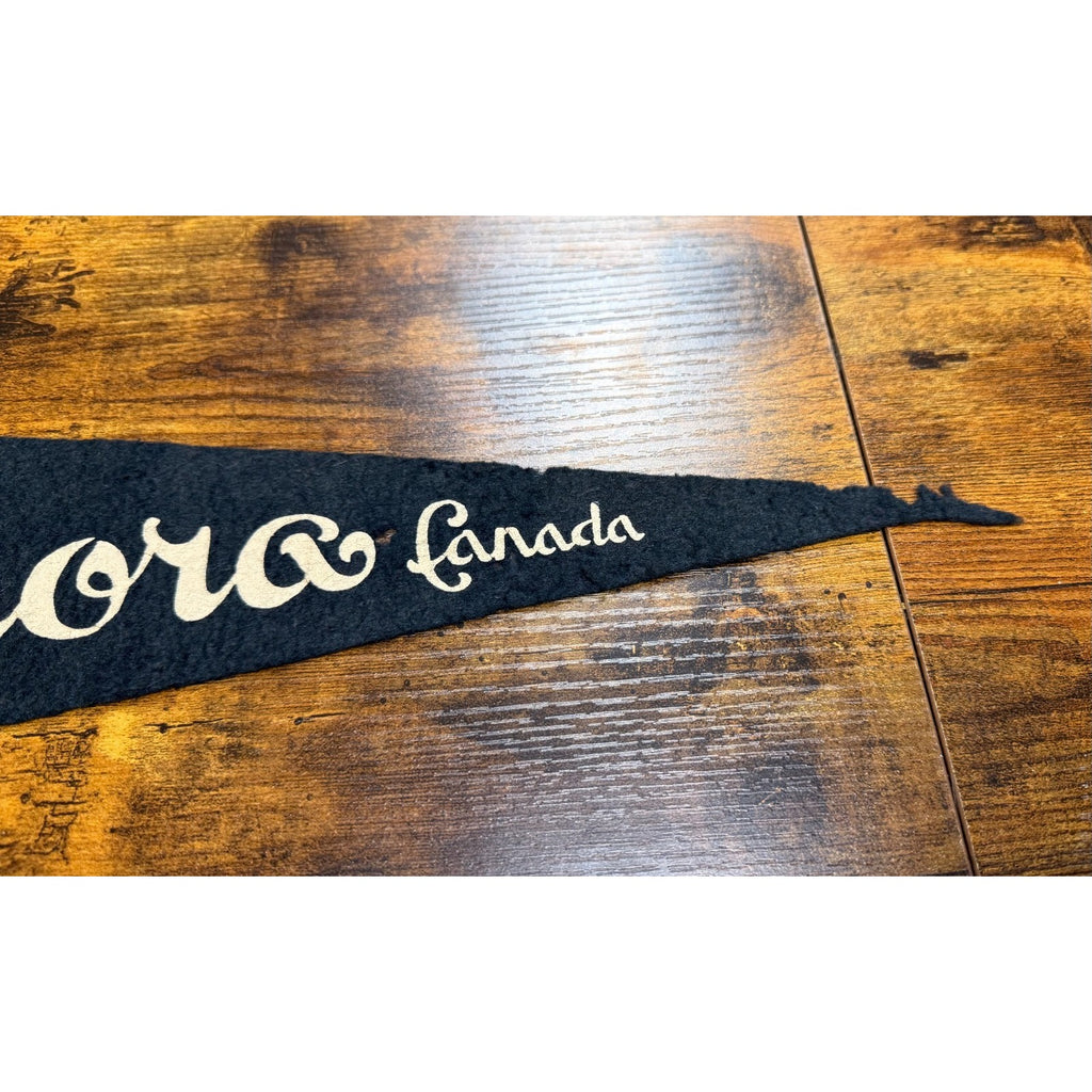Vintage Kenora Canada pennant
