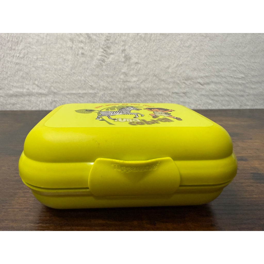 Dora The Explorer Tupperware Kids Lunch Box Plastic Compact Design