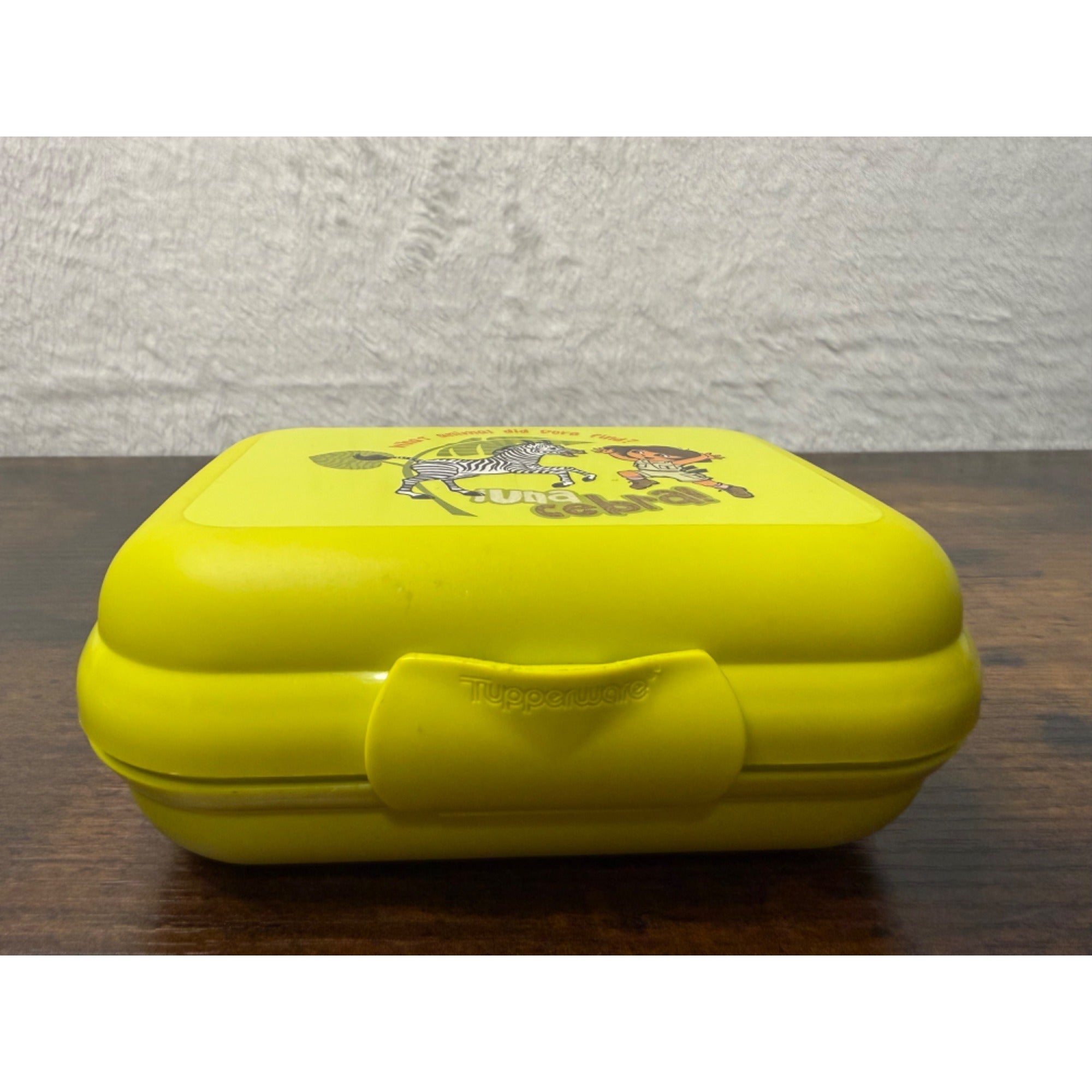 Dora The Explorer Tupperware Kids Lunch Box Plastic Compact Design