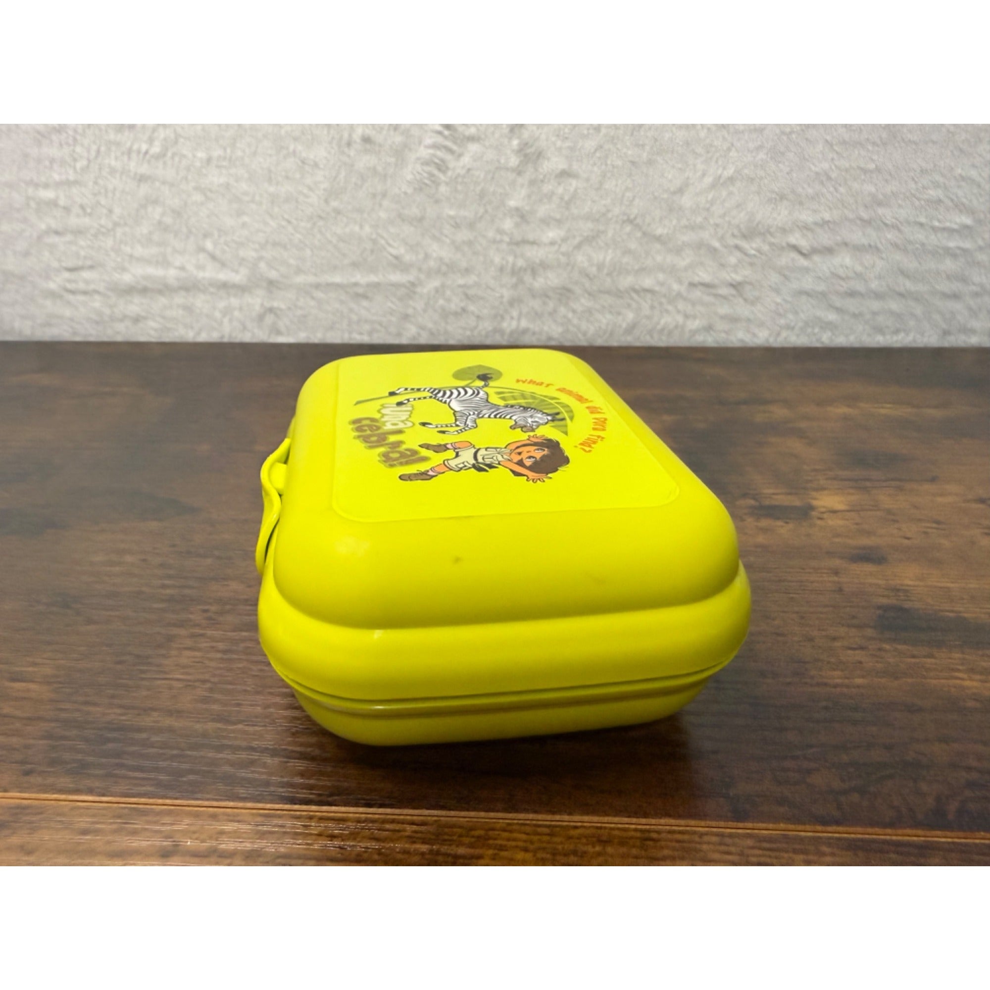 Dora The Explorer Tupperware Kids Lunch Box Plastic Compact Design
