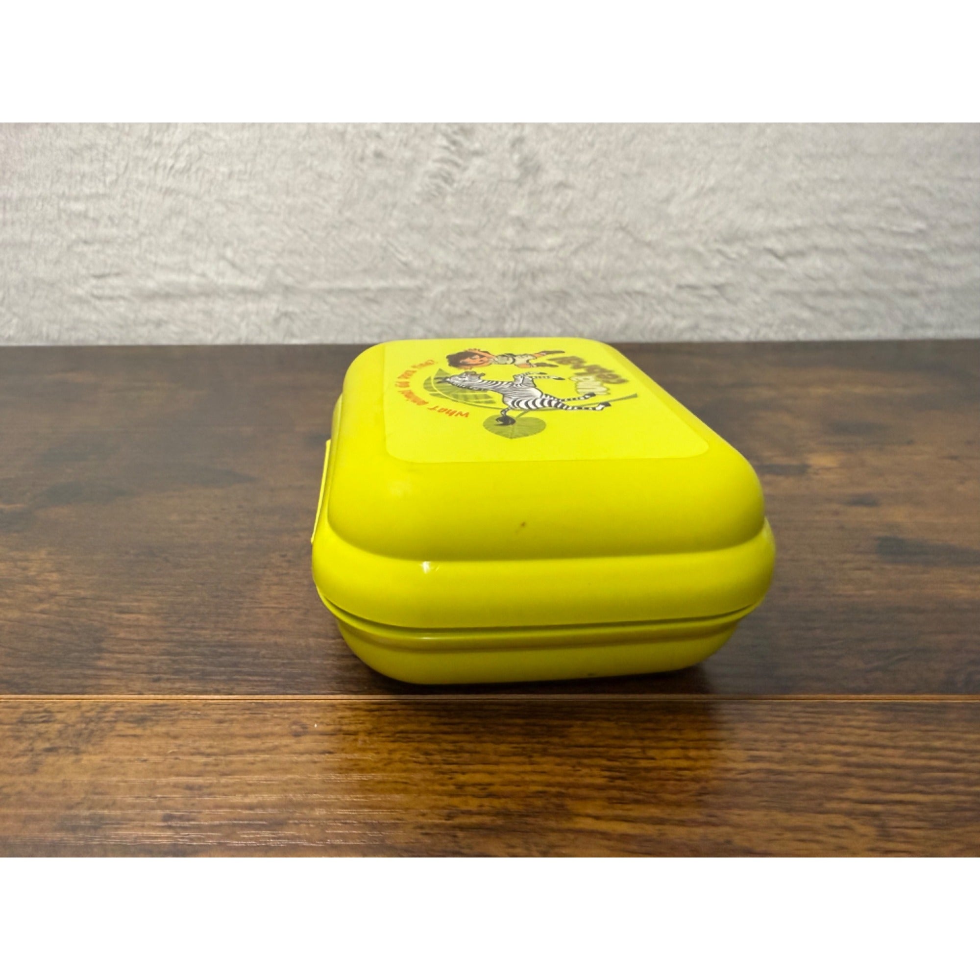 Dora The Explorer Tupperware Kids Lunch Box Plastic Compact Design
