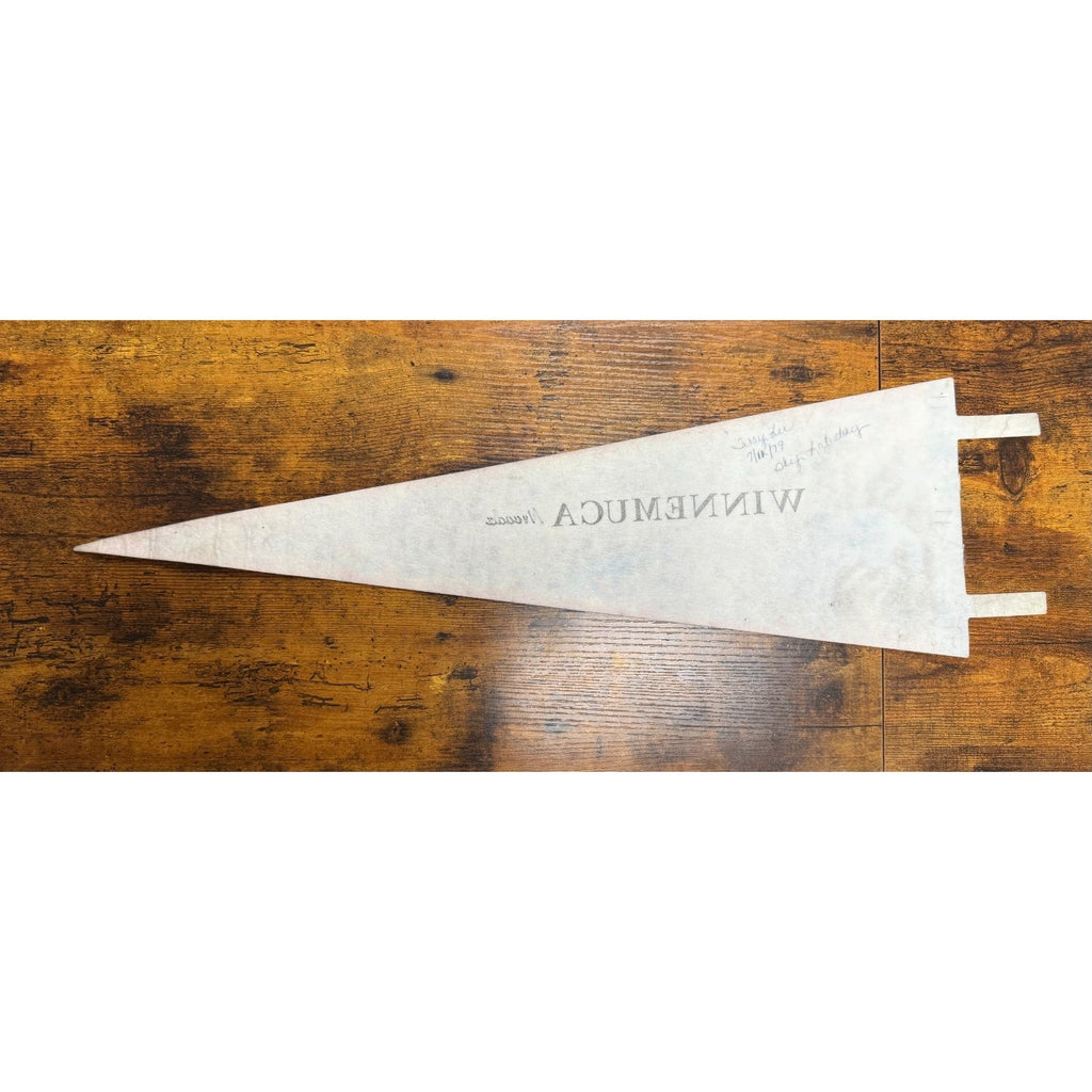 Vintage Winnemuca, Nevada pennant