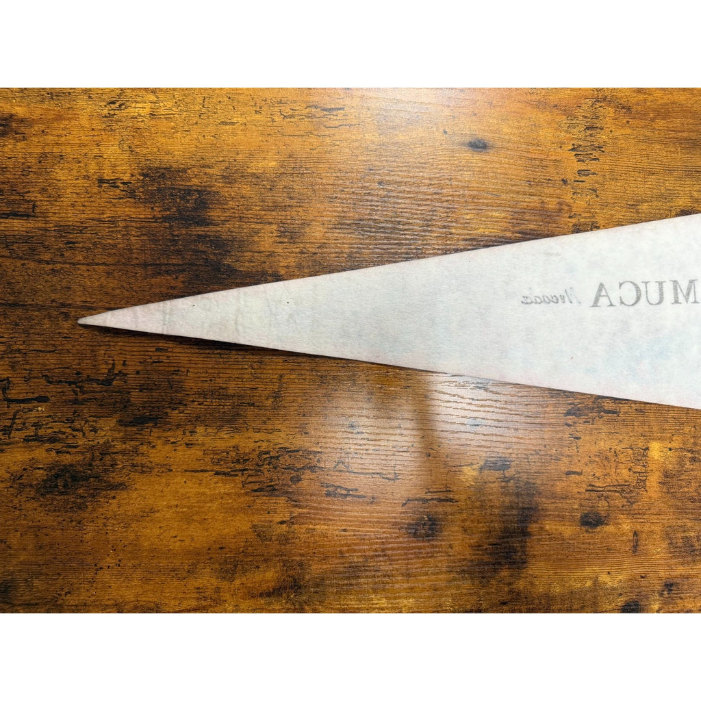 Vintage Winnemuca, Nevada pennant