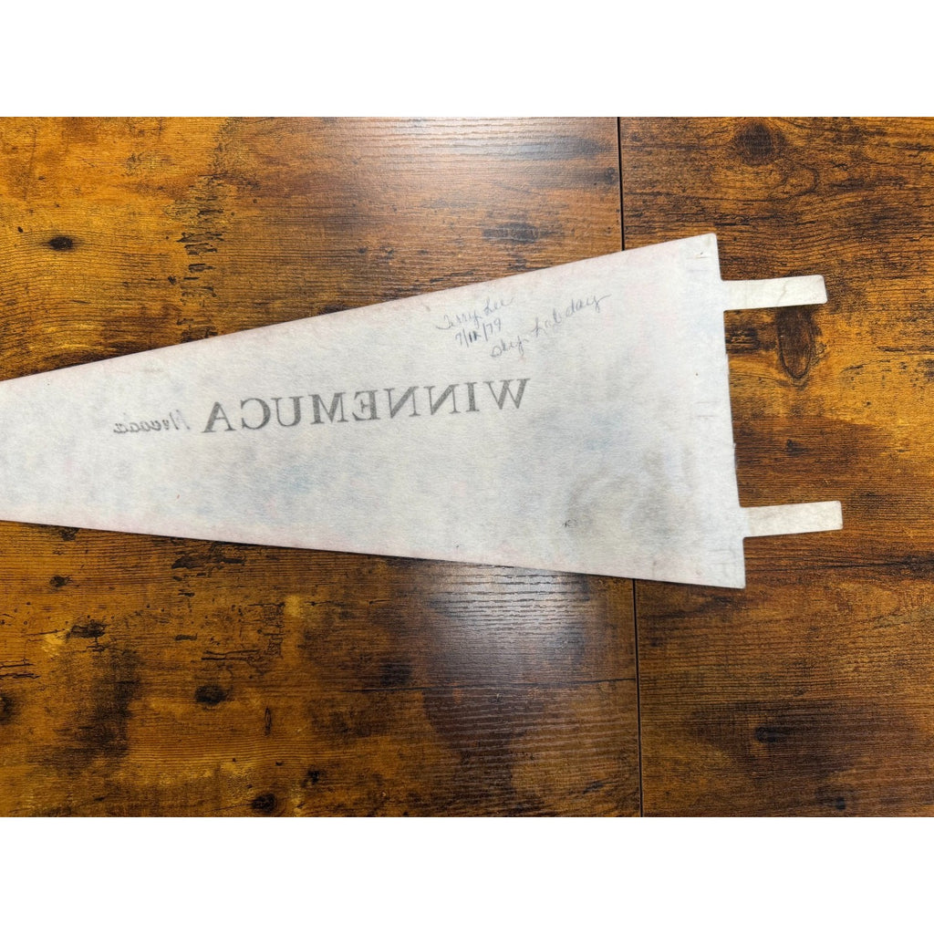 Vintage Winnemuca, Nevada pennant