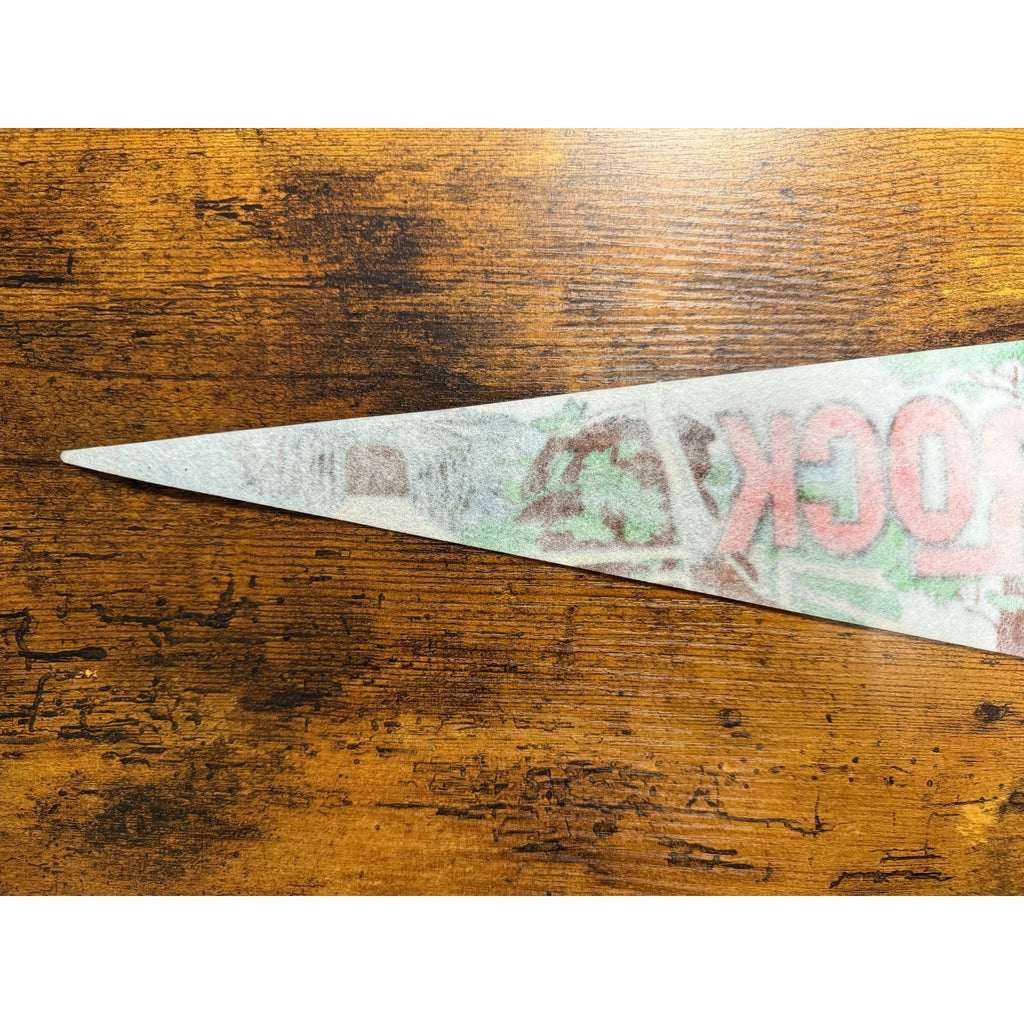 Vintage Chimney Rock, North Carolina pennant