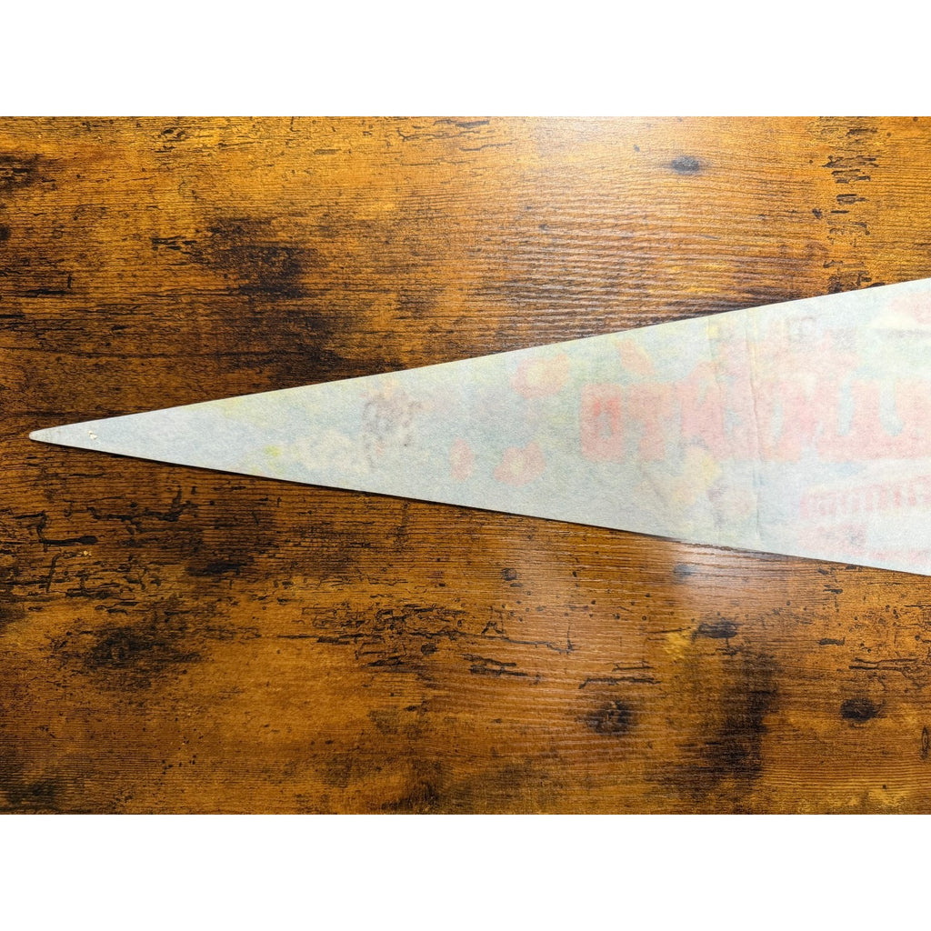 Vintage Old Sacramento, California pennant