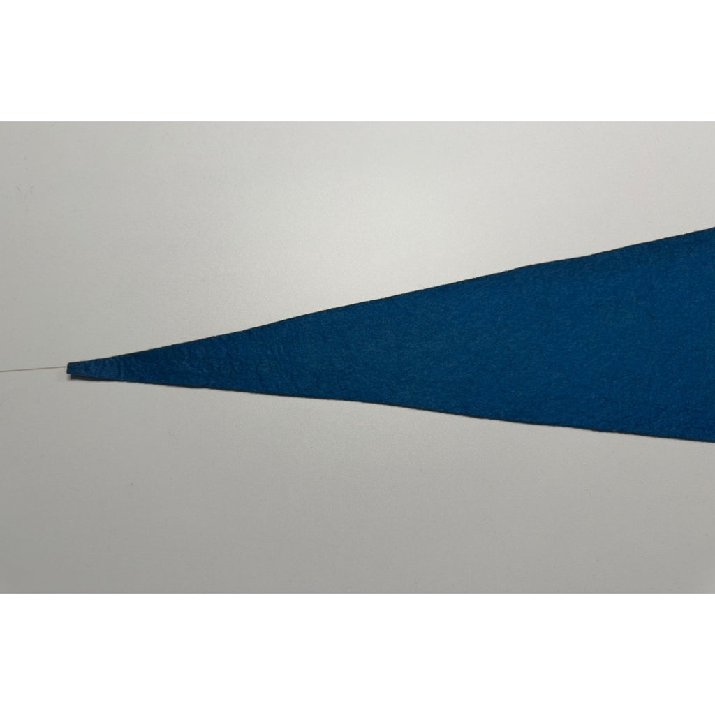 Vintage Mt. Vernon. Va pennant