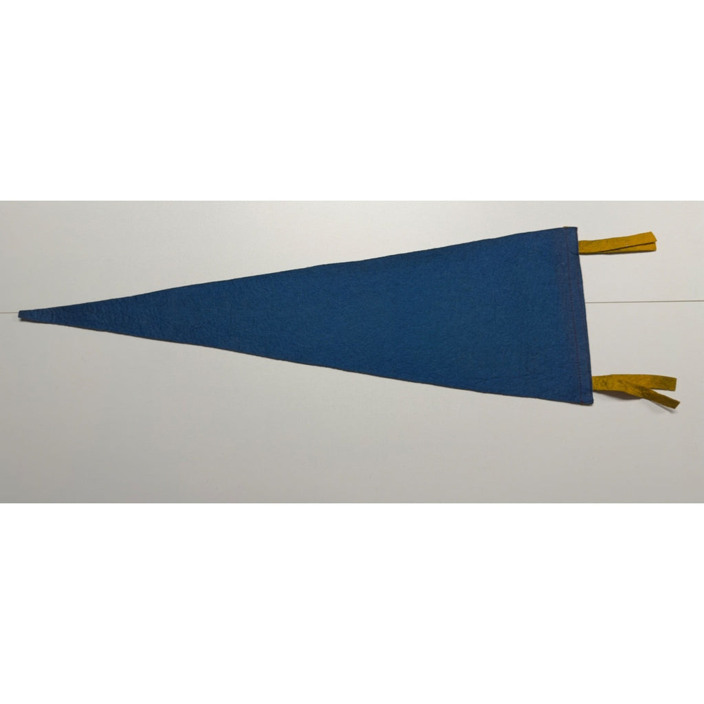 Vintage Mt. Vernon. Va pennant