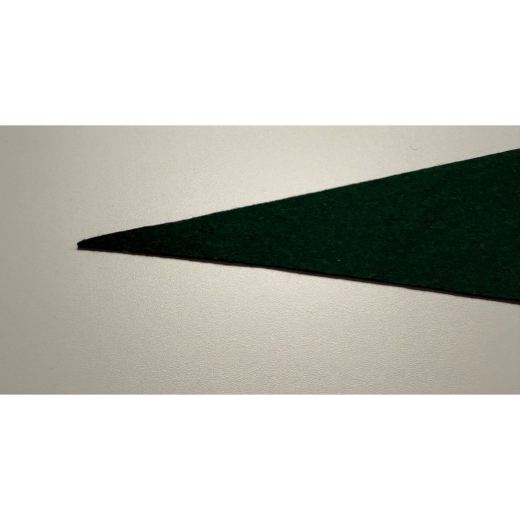 Vintage Magnetic Hill N.B. Canada pennant