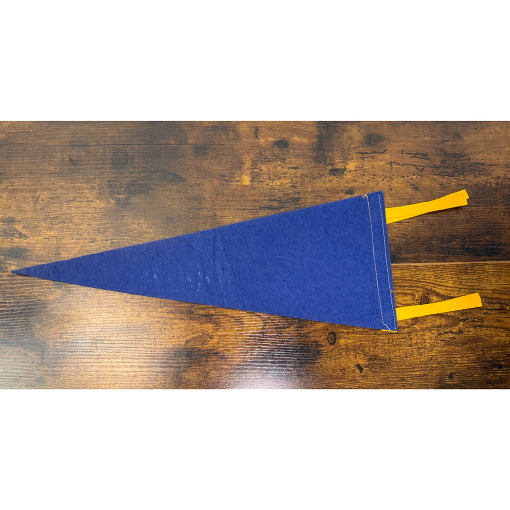 1000 Islands Vintage Felt Souvenir Pennant With Boldt Castle