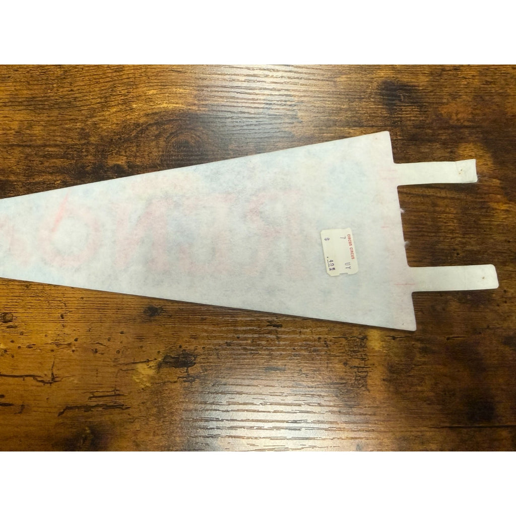 Vintage Reno, Nevada pennant