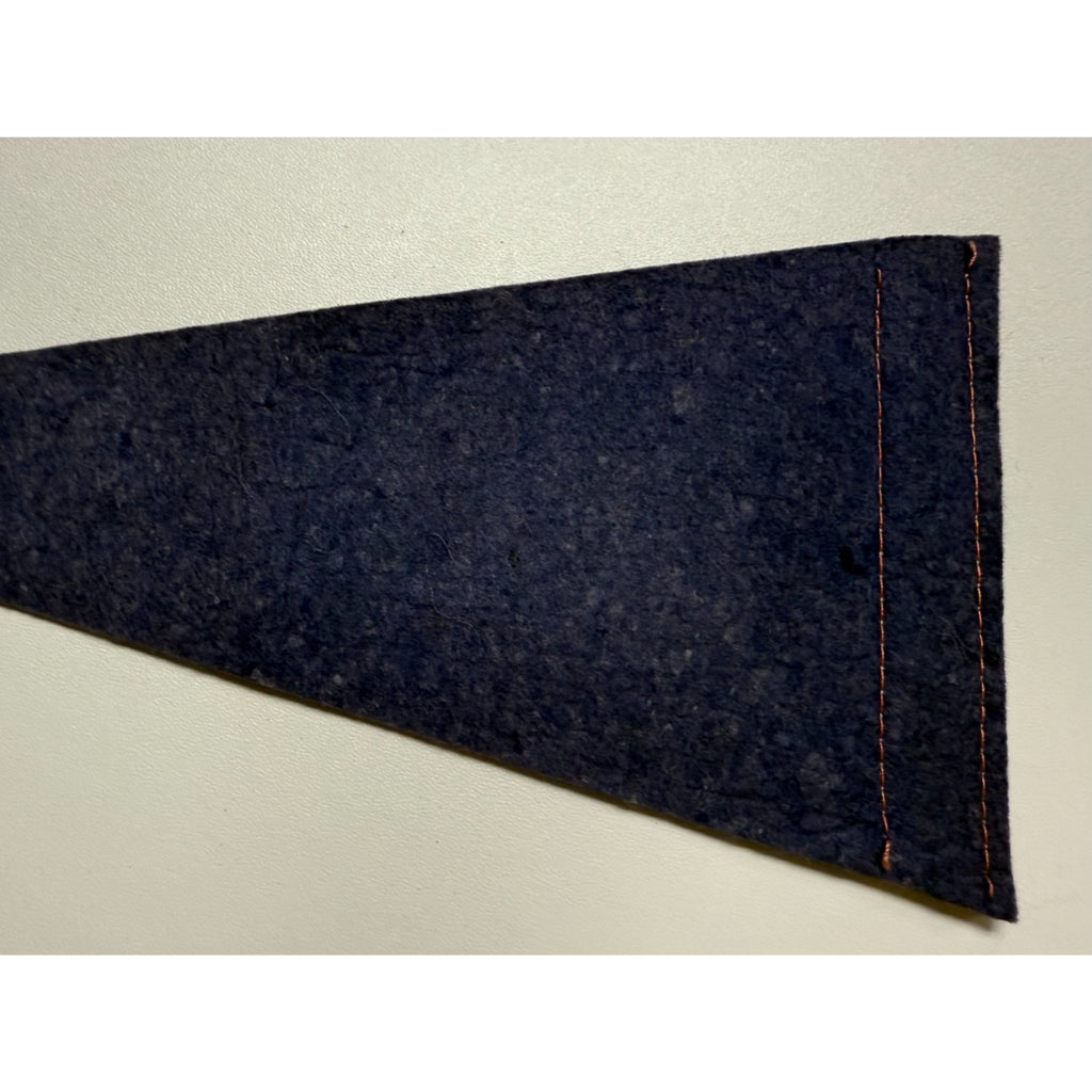 Vintage Shenandoah Caverns, VA pennant