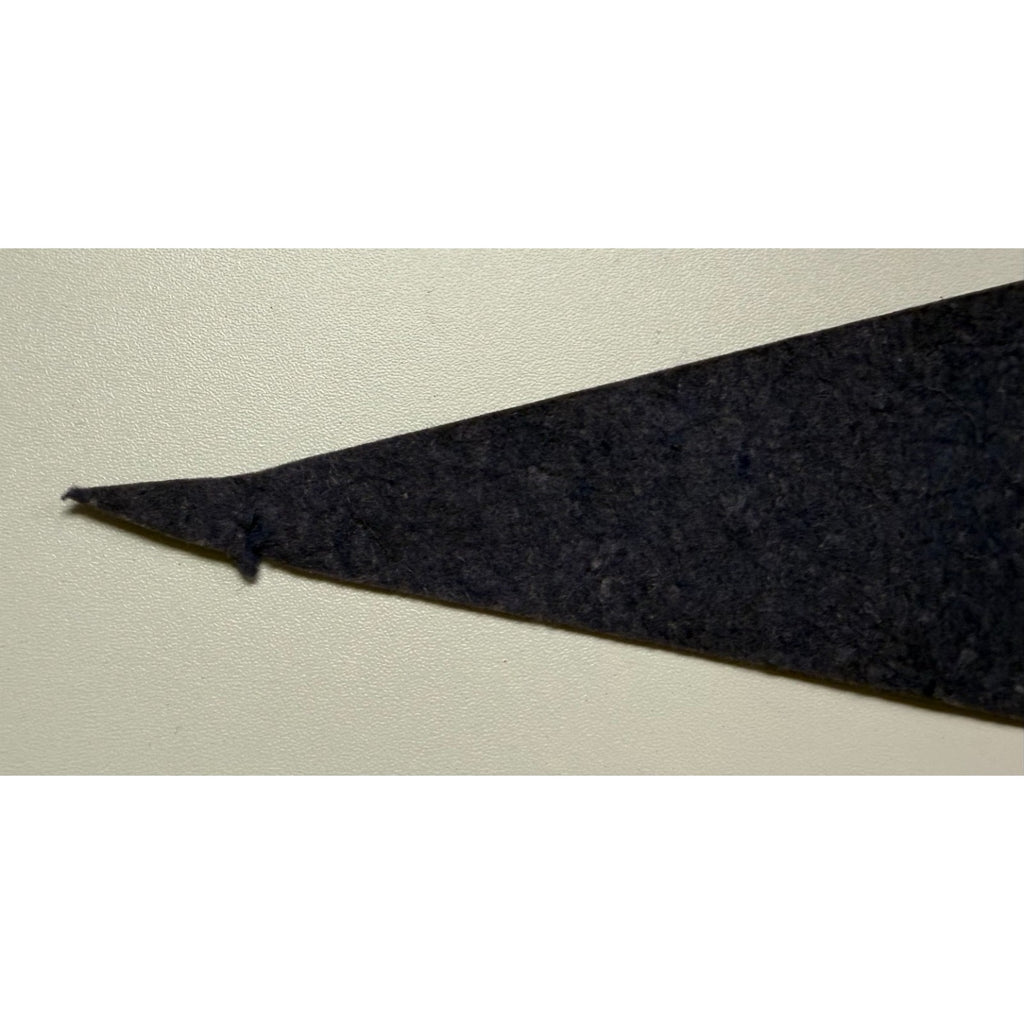 Vintage Shenandoah Caverns, VA pennant