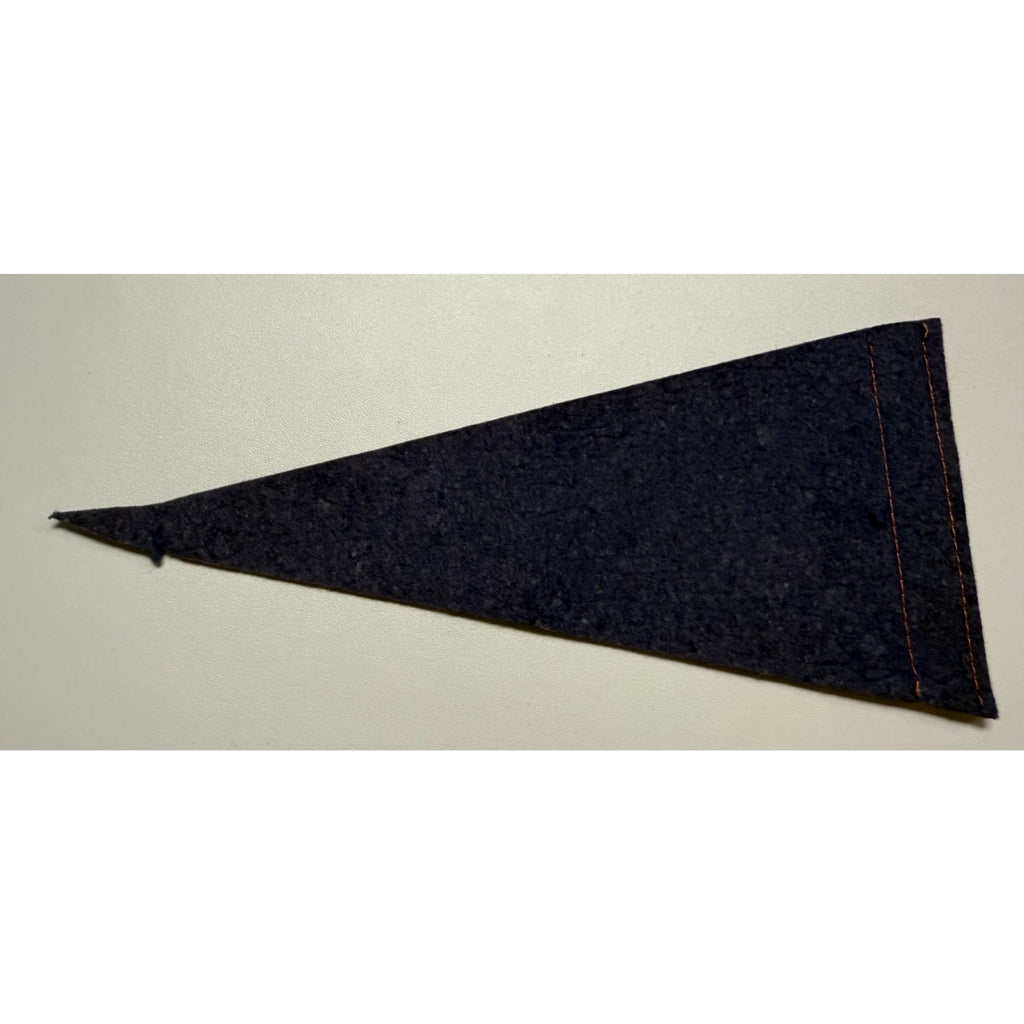 Vintage Shenandoah Caverns, VA pennant