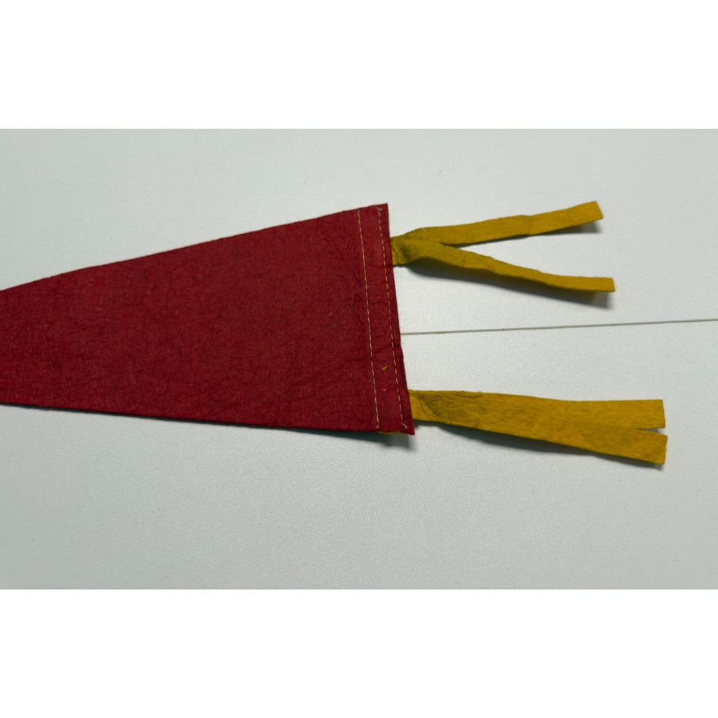 Vintage Skyline Caverns, Virginia pennant