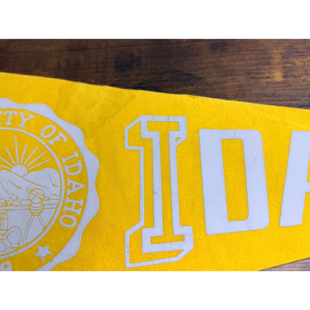 Vintage University Of Idaho 1889 Felt Pennant Banner College Memorabilia