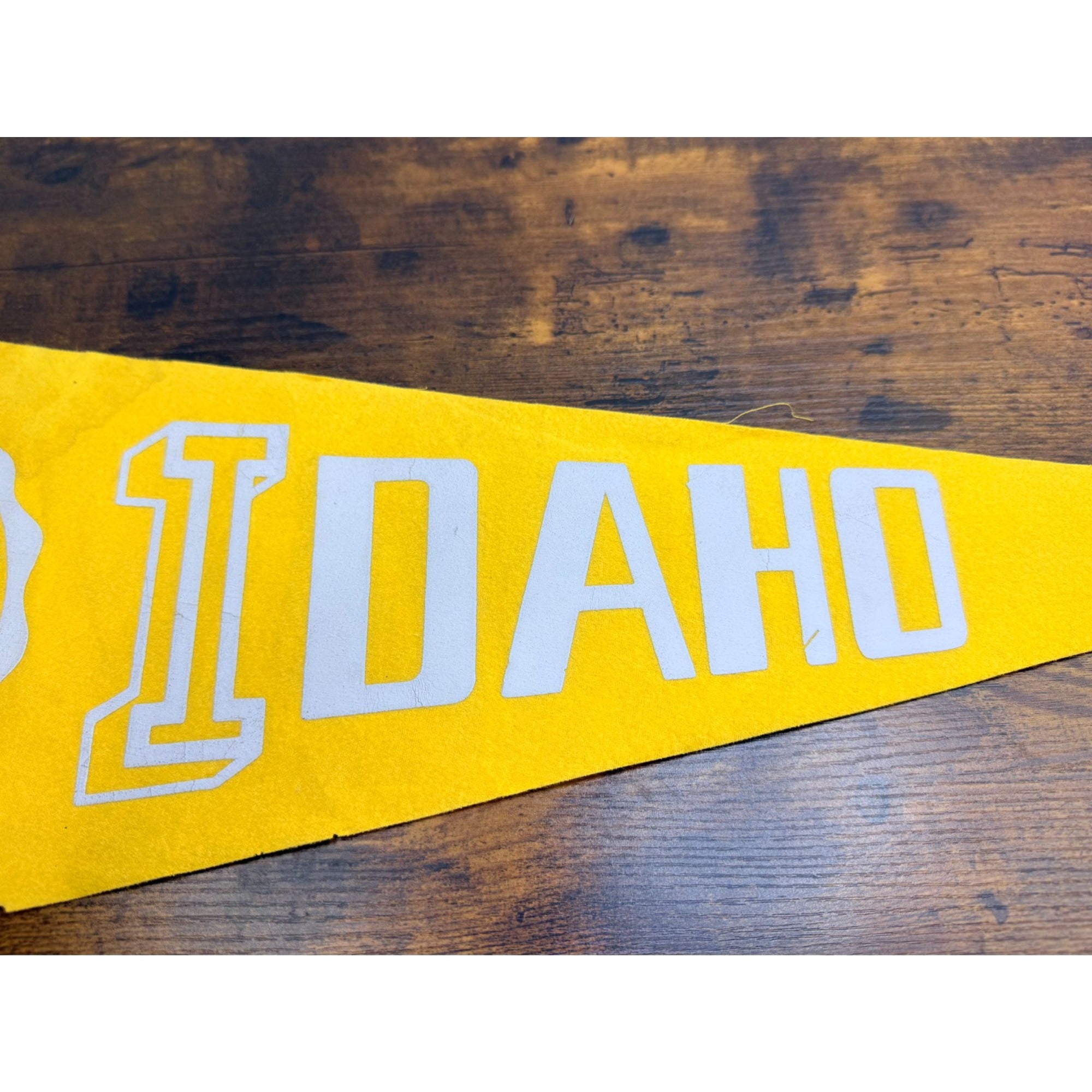 Vintage University Of Idaho 1889 Felt Pennant Banner College Memorabilia