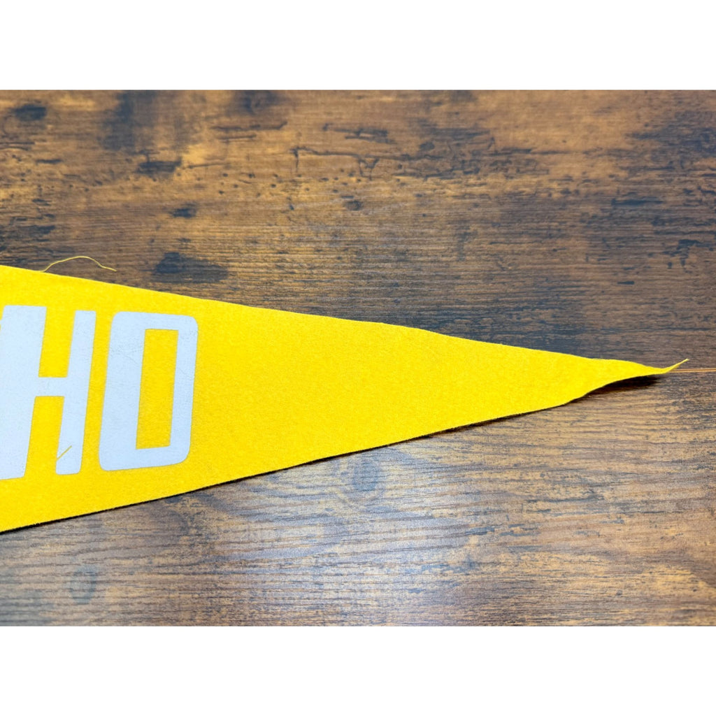 Vintage University Of Idaho 1889 Felt Pennant Banner College Memorabilia
