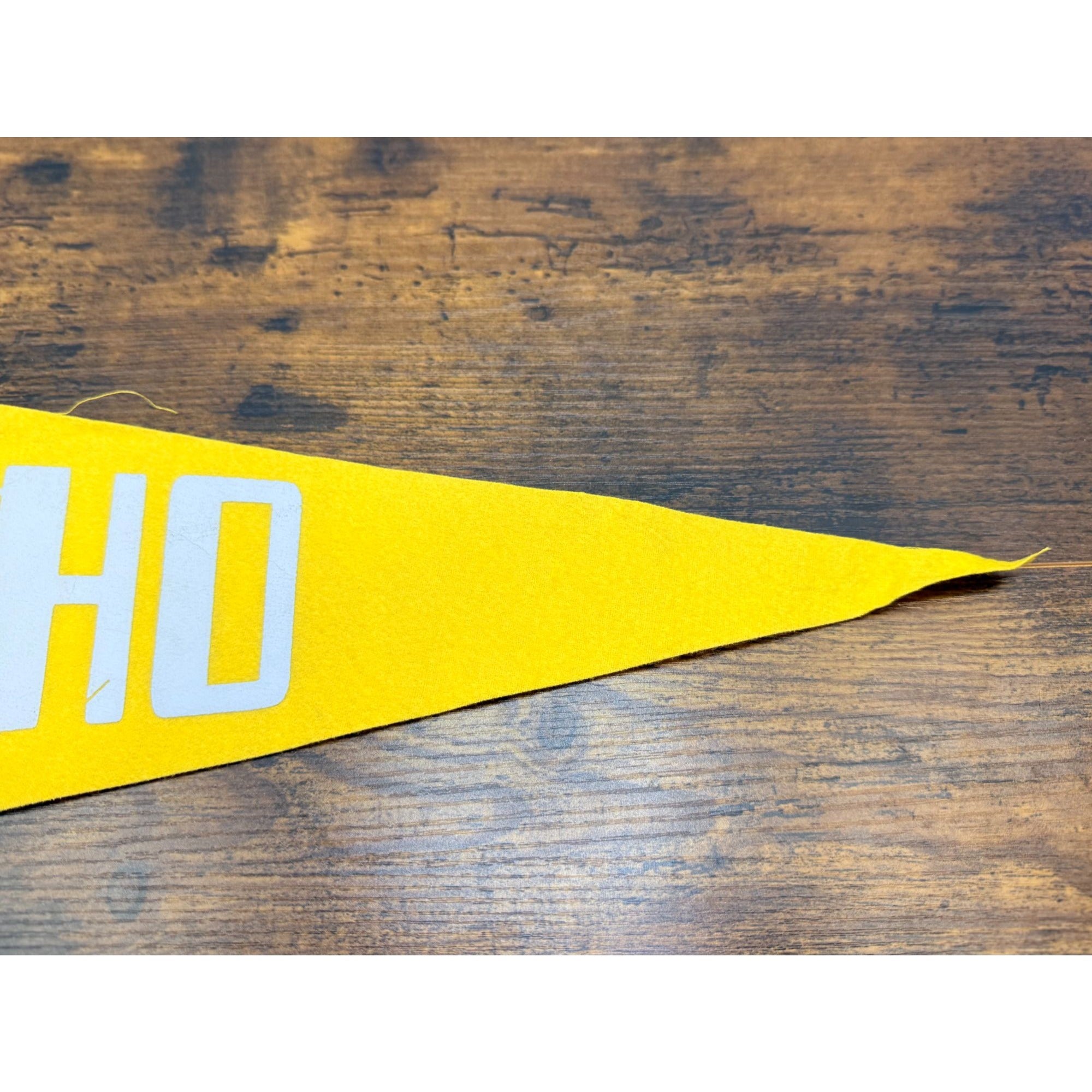 Vintage University Of Idaho 1889 Felt Pennant Banner College Memorabilia