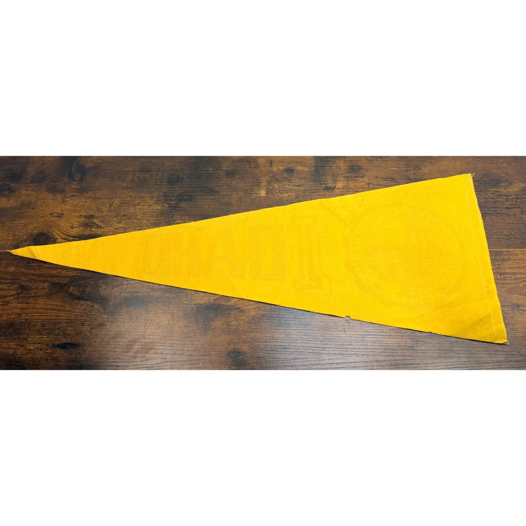 Vintage University Of Idaho 1889 Felt Pennant Banner College Memorabilia