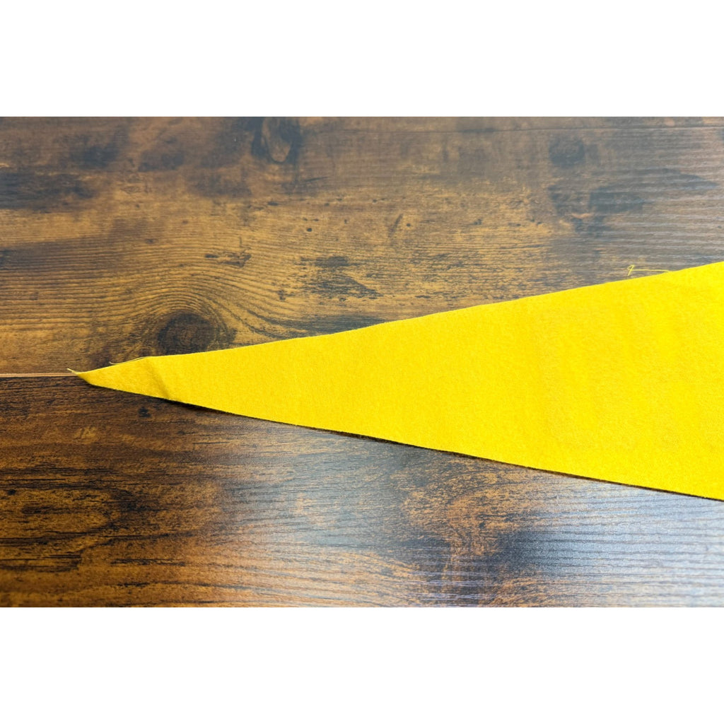 Vintage University Of Idaho 1889 Felt Pennant Banner College Memorabilia